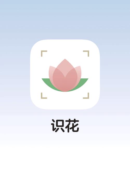 花开app下载安装