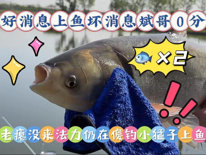 上鱼直播免费下载