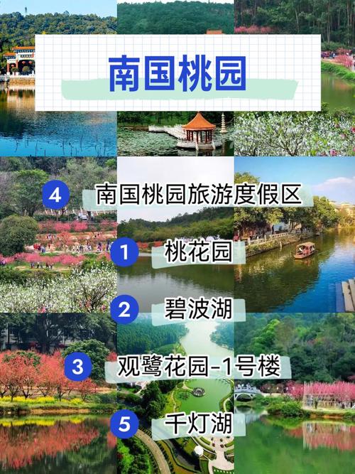 蟠桃园app下载安装