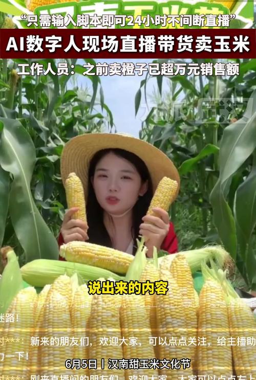 玉米直播视频下载