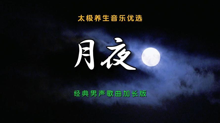 月夜视频下载平台