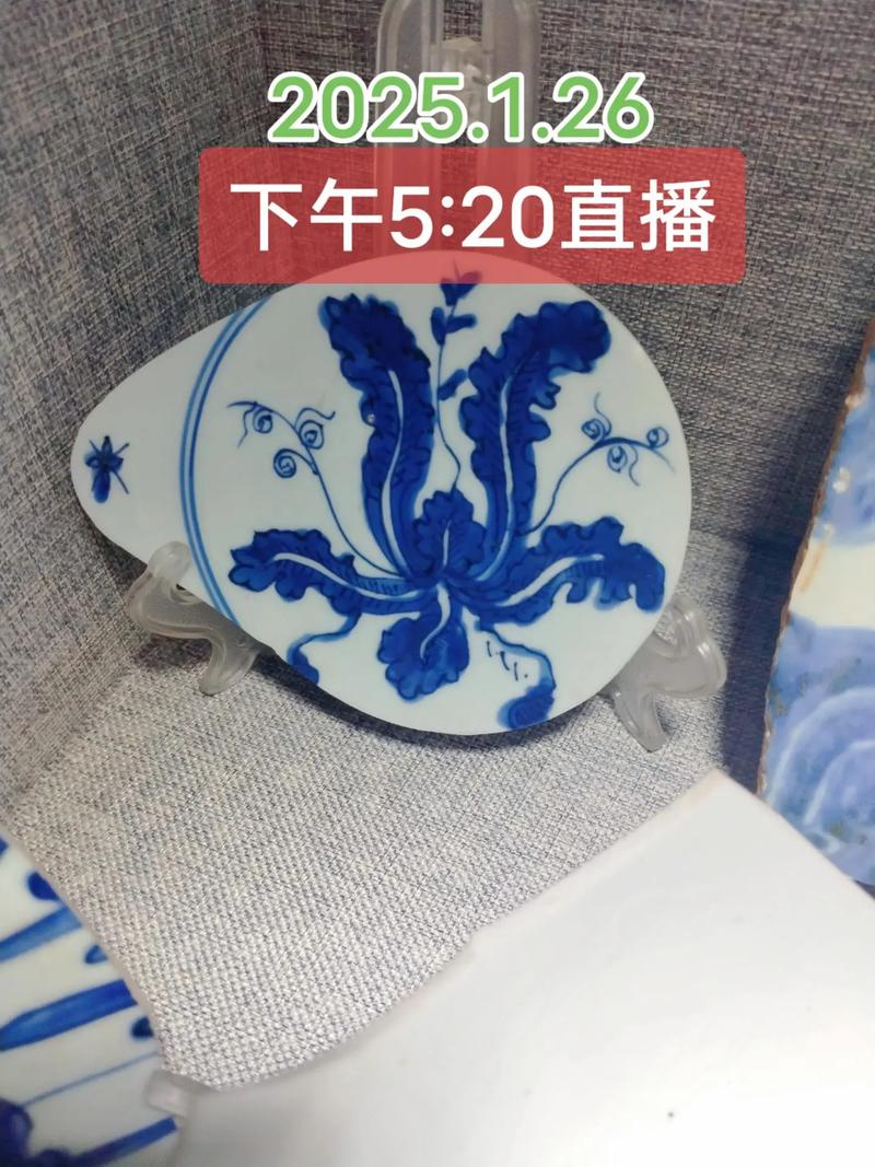 青花直播下载免费观看