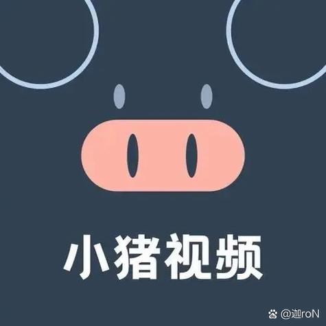 小猪视频官方网站
