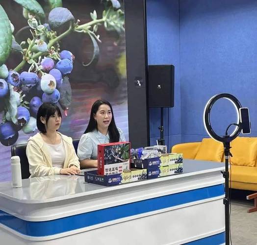 蓝莓直播下载大全