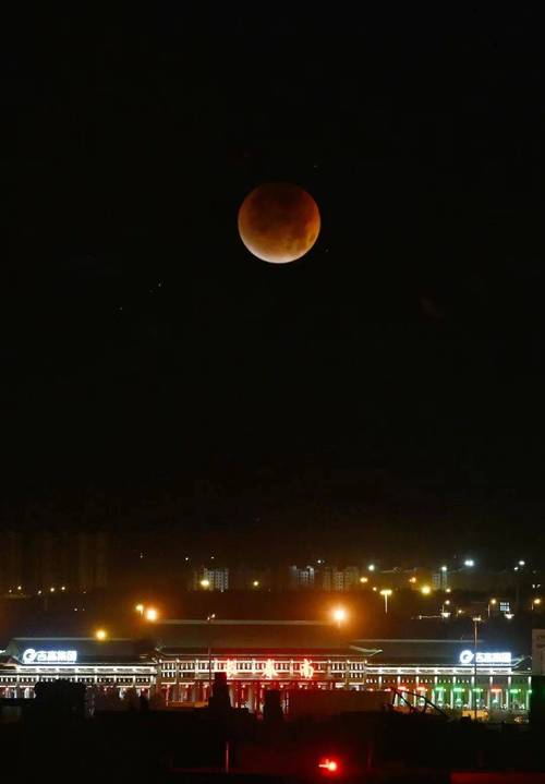 月亮视频在线观看