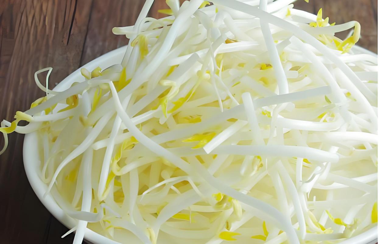 豆芽高清视频免费下载