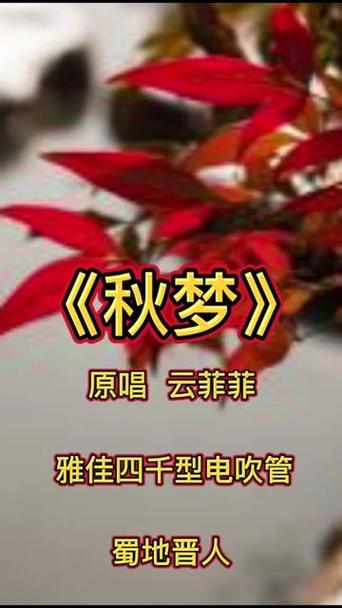 秋梦直播下载安装