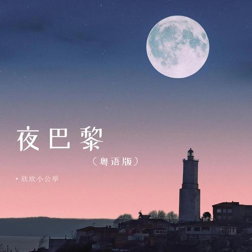 夜巴黎直播下载轻量版