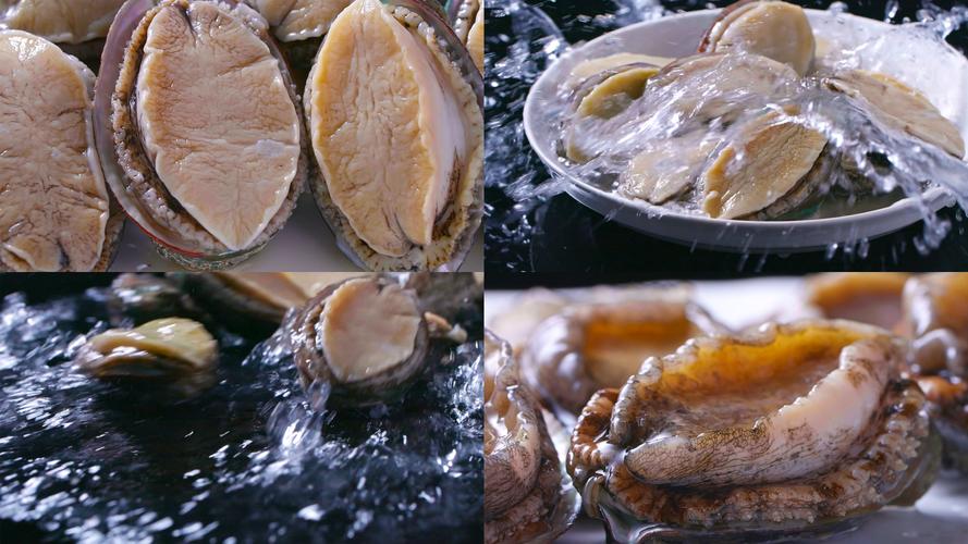 鲍鱼视频直播下载