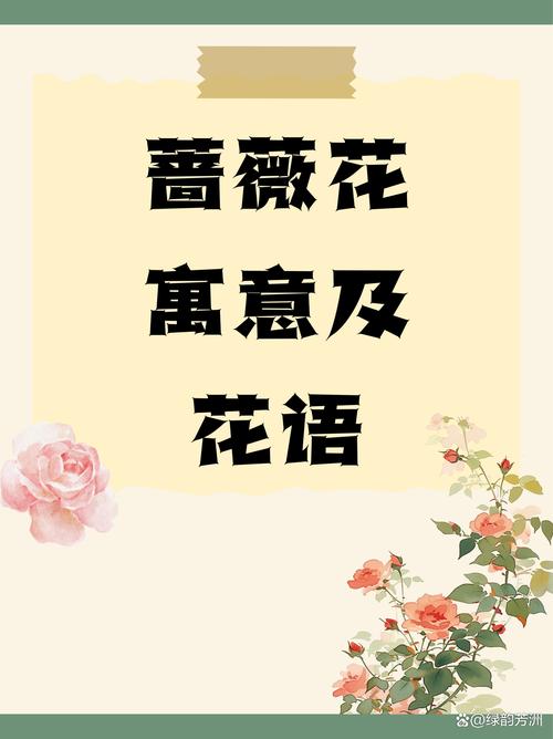 花语直播下载安装