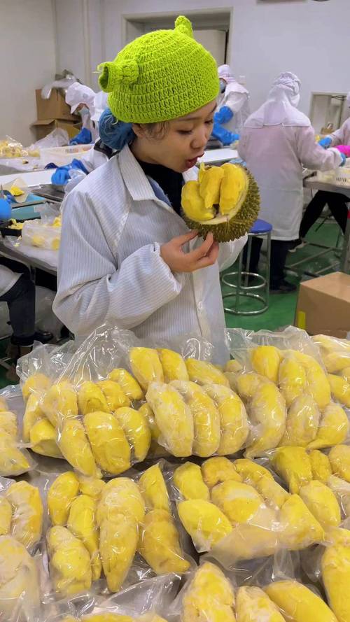 榴莲视频直播下载安装