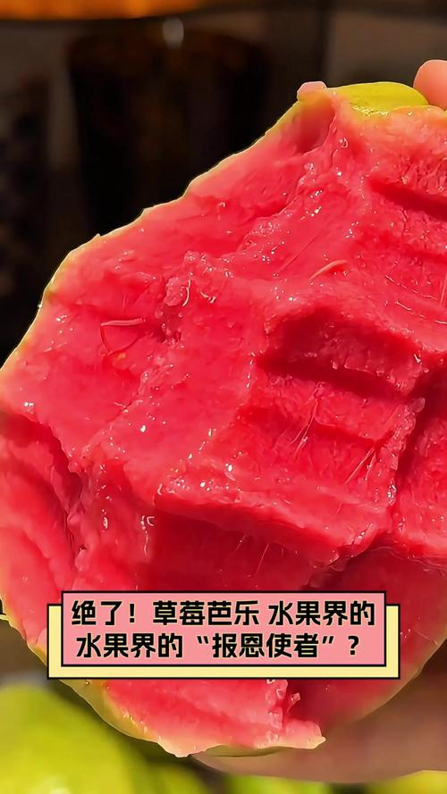 草莓芭乐无限免费观看版