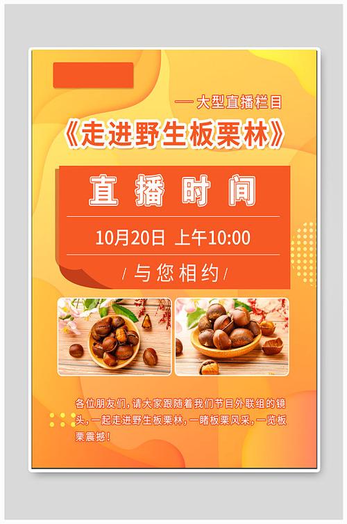 板栗直播app下载安装