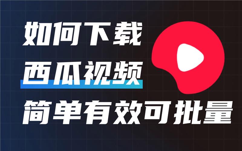 西瓜秀场app下载安装