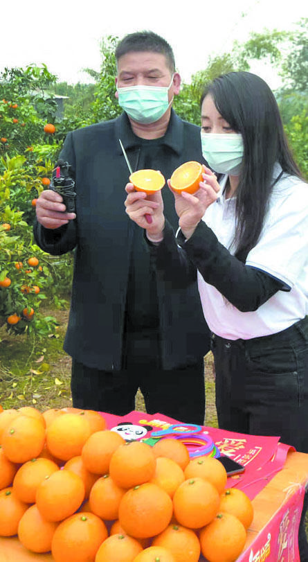 橘子直播视频下载安装