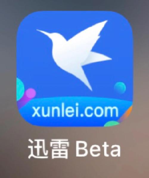 迅雷直播手机版软件下载安装