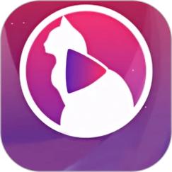 猫咪直播手机版下载 v1.8.23安卓版2026
