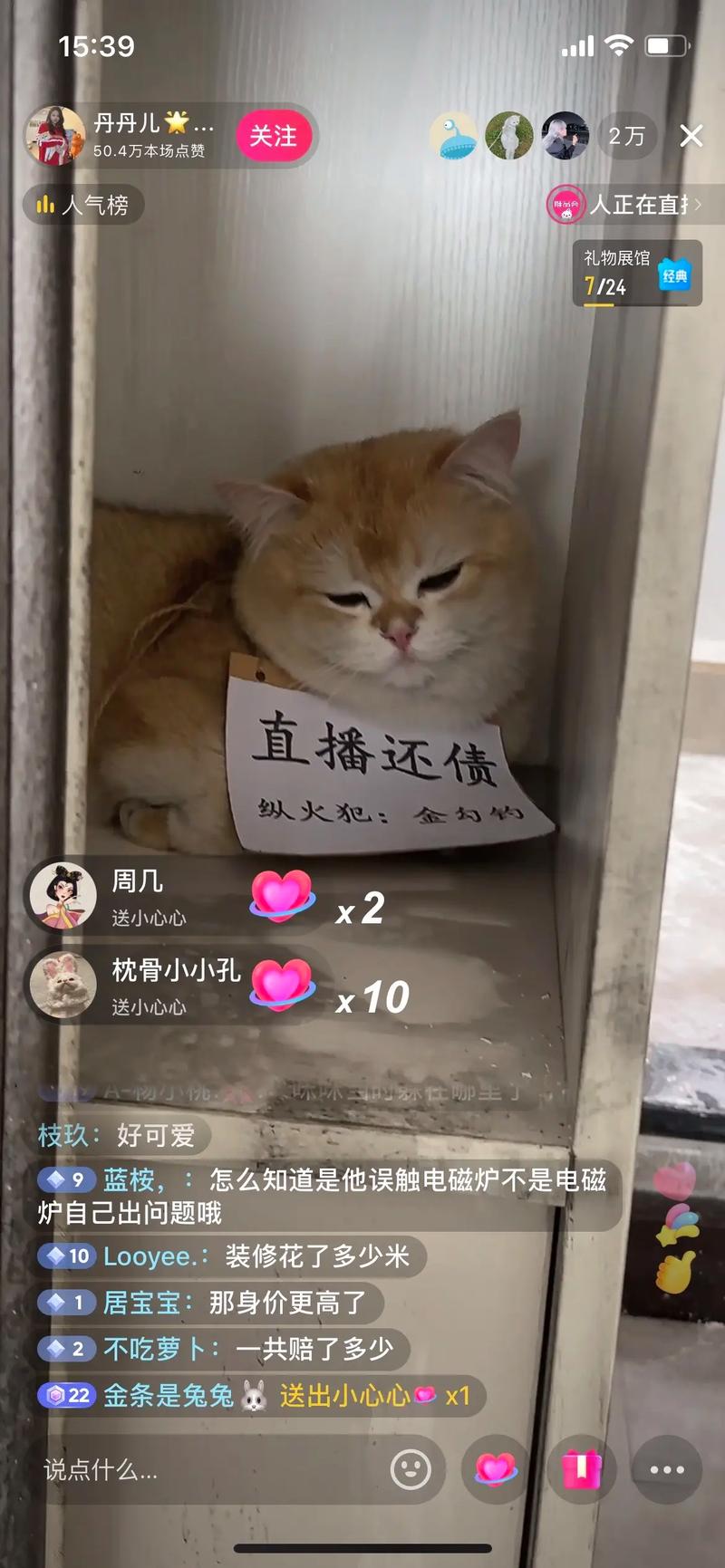 猫咪直播手机版2026