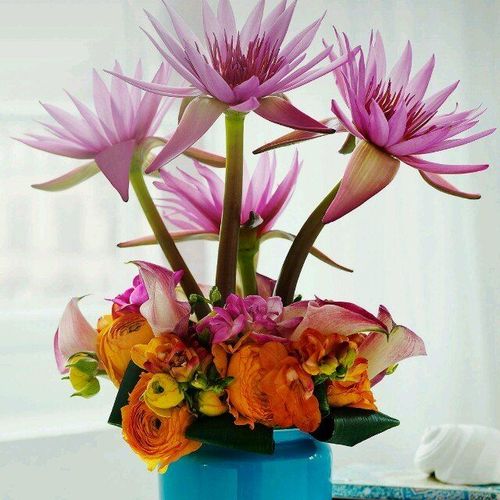 惜缘交友最新版破解版2026下载安装