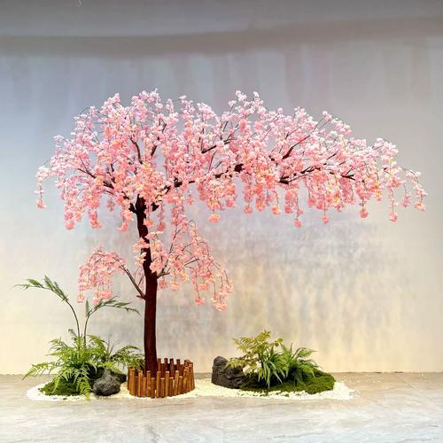 樱花树直播app下载安装软件破解版
