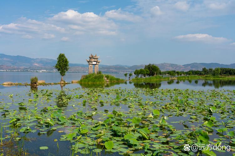 云湖最新版2026破解版
