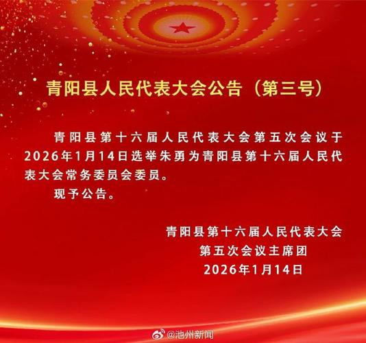 青阳热线2026最新

