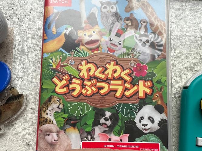 开心动物园2026最新
