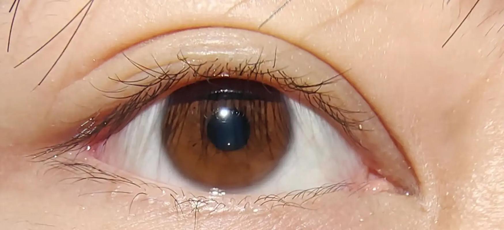 瞳孔聊天2026最新
