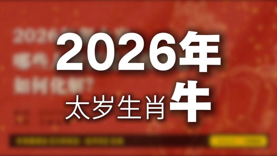 牛视2026最新

