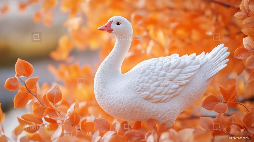 白天鹅3d图库
