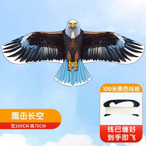 鹰击长空中文补丁2026最新
