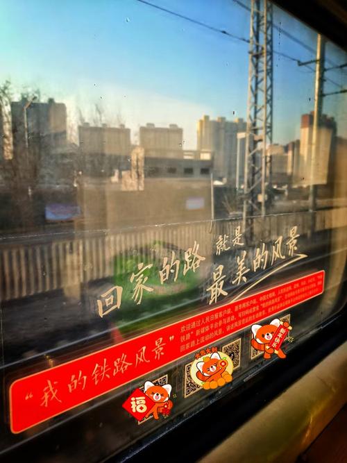 回来的路下载2026最新
