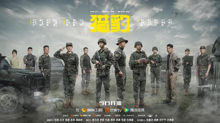 猎豹影视站2026最新
