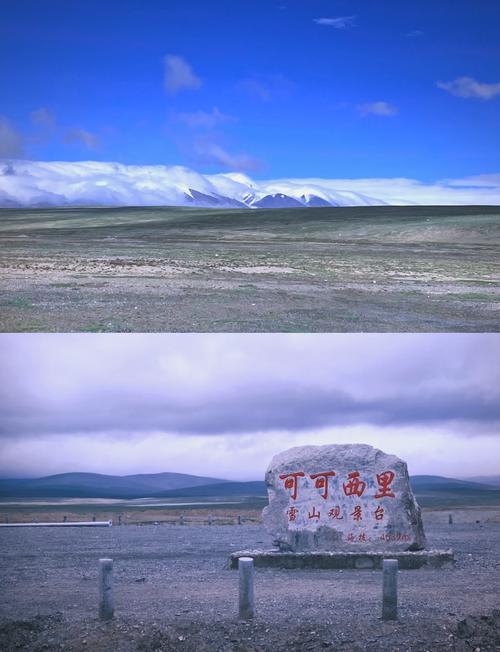 可可西里下载2026最新
