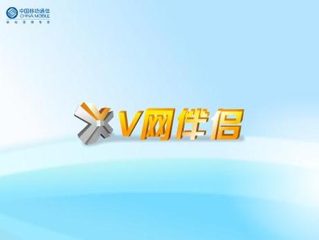 v网伴侣

