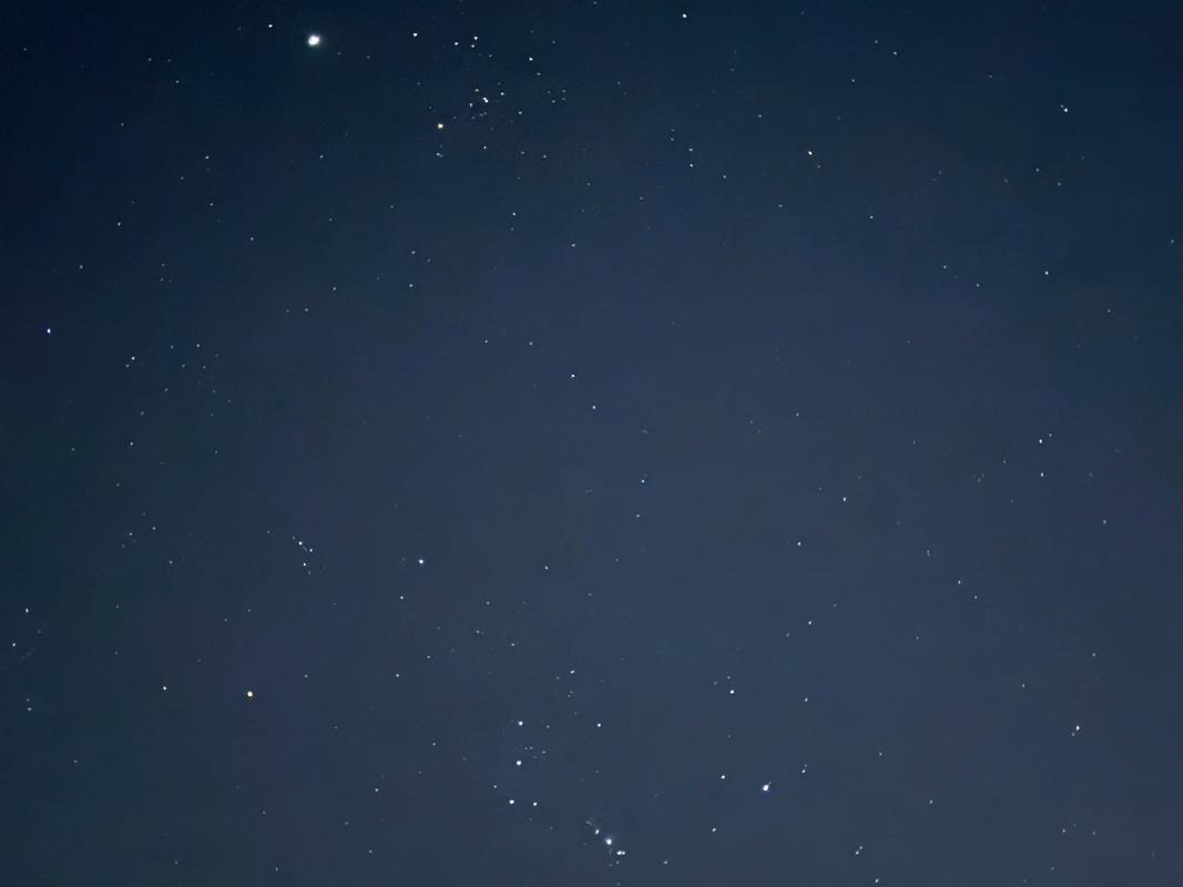 点亮星星2026最新
