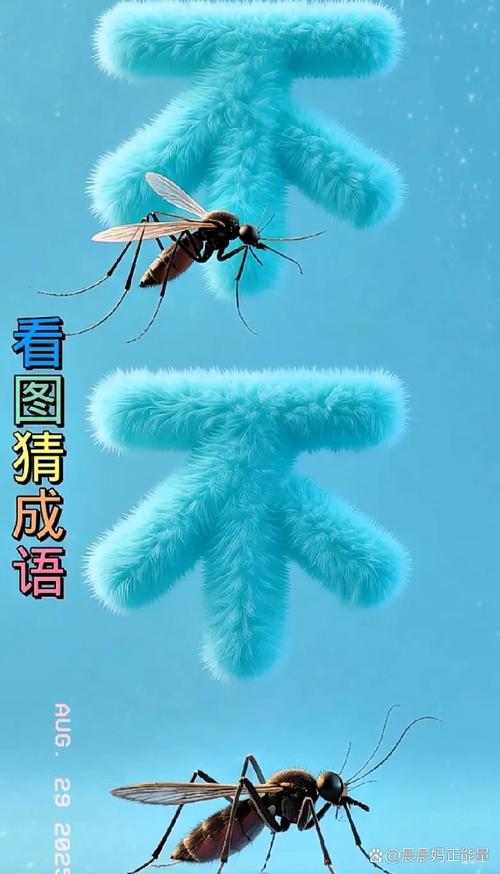 疯狂猜图 t2026最新
