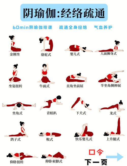 瑜伽视频教程下载2026最新
