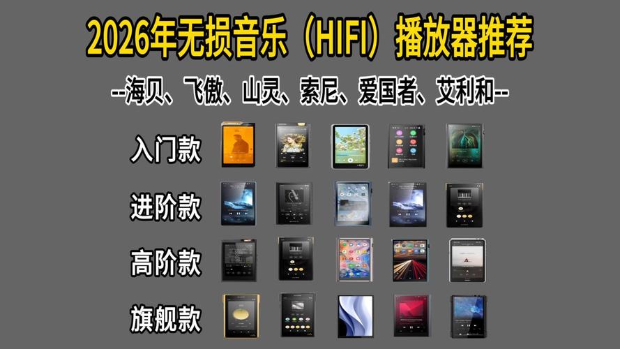 csf 播放器2026最新
