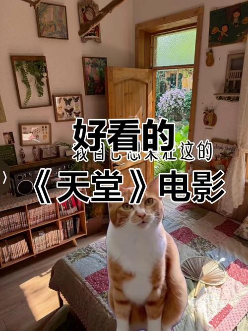 电影天堂无弹窗2026最新
