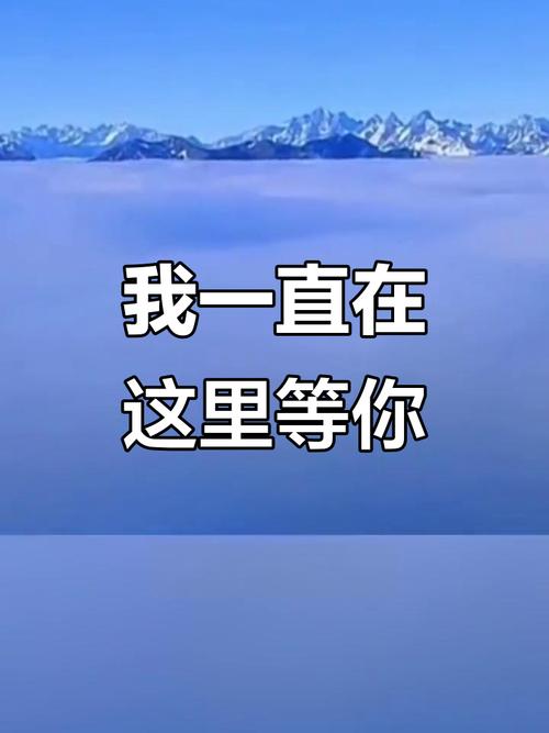 在这里等你2026最新
