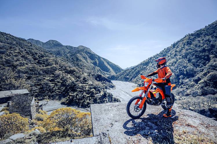 爬行天下2026最新
