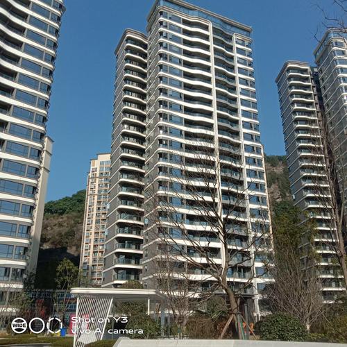 点金投资家园2026最新
