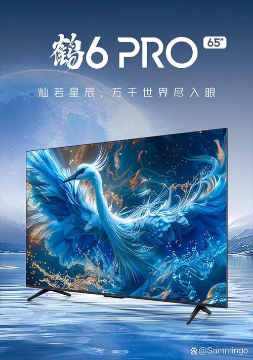 极光网络电视2026最新
