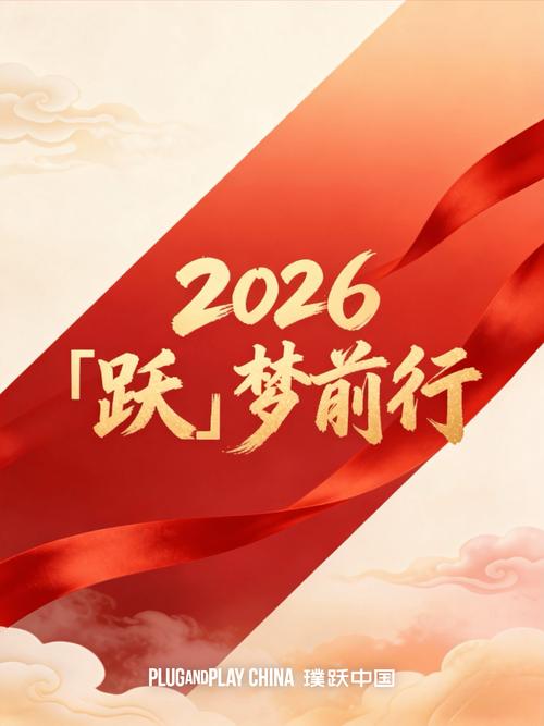 飞读网2026最新
