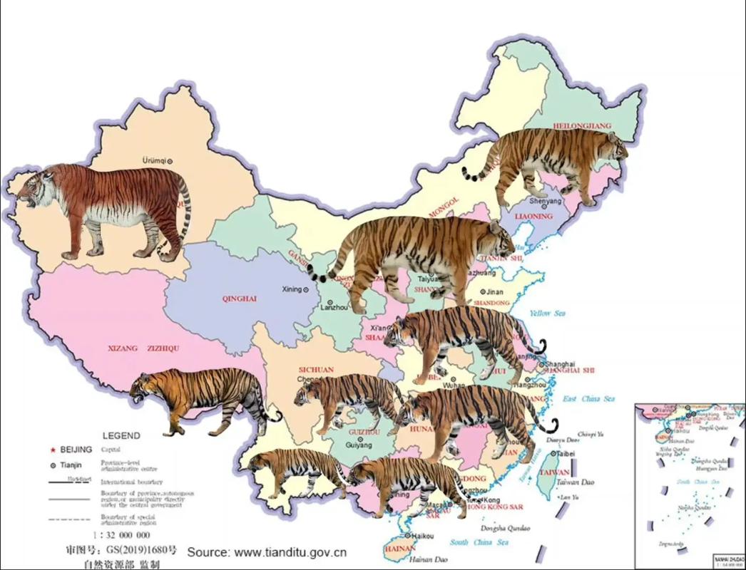 老虎地图java下载2026最新
