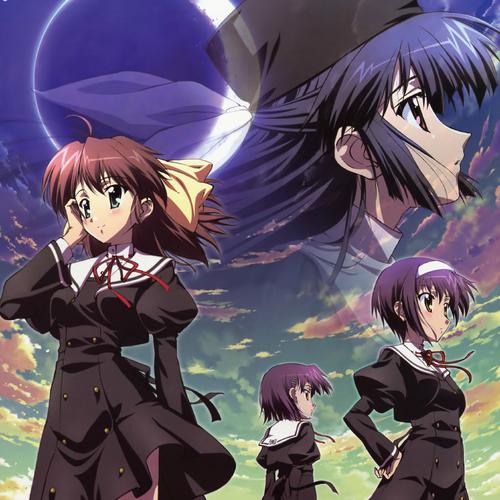 樱桃之远下载2026最新
