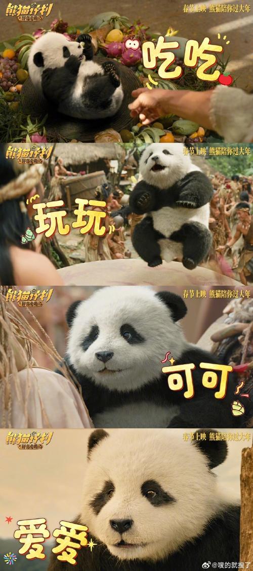 羊驼历险记下载2026最新
