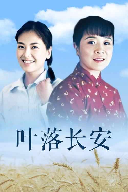 叶落长安下载2026最新版
