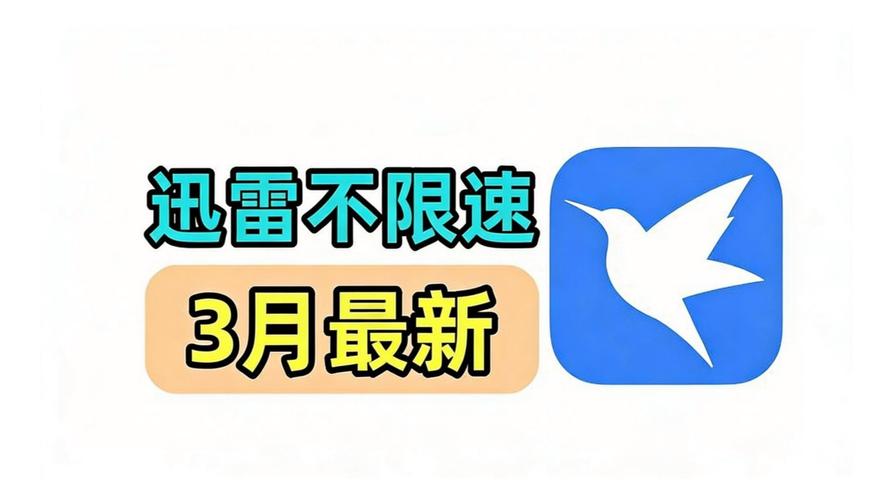 迅雷高清下载2026最新版
